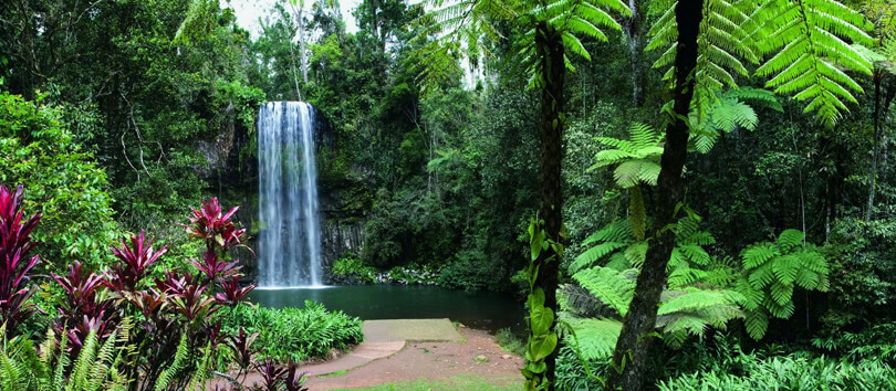 Millaa Millaa Falls
