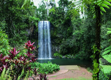 Millaa Millaa Falls in Cairns