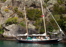 Mine Bay Maori Rock Carvings in Taupo