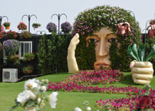 Miracle Garden Dubai in Dubai