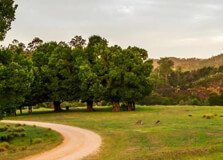 Mitchell River National Park in Melbourne