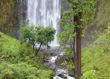 Mlele Waterfalls in Mlele