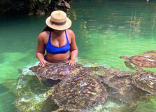 Mnarani Marine Turtles Conservation Pond in Zanzibar