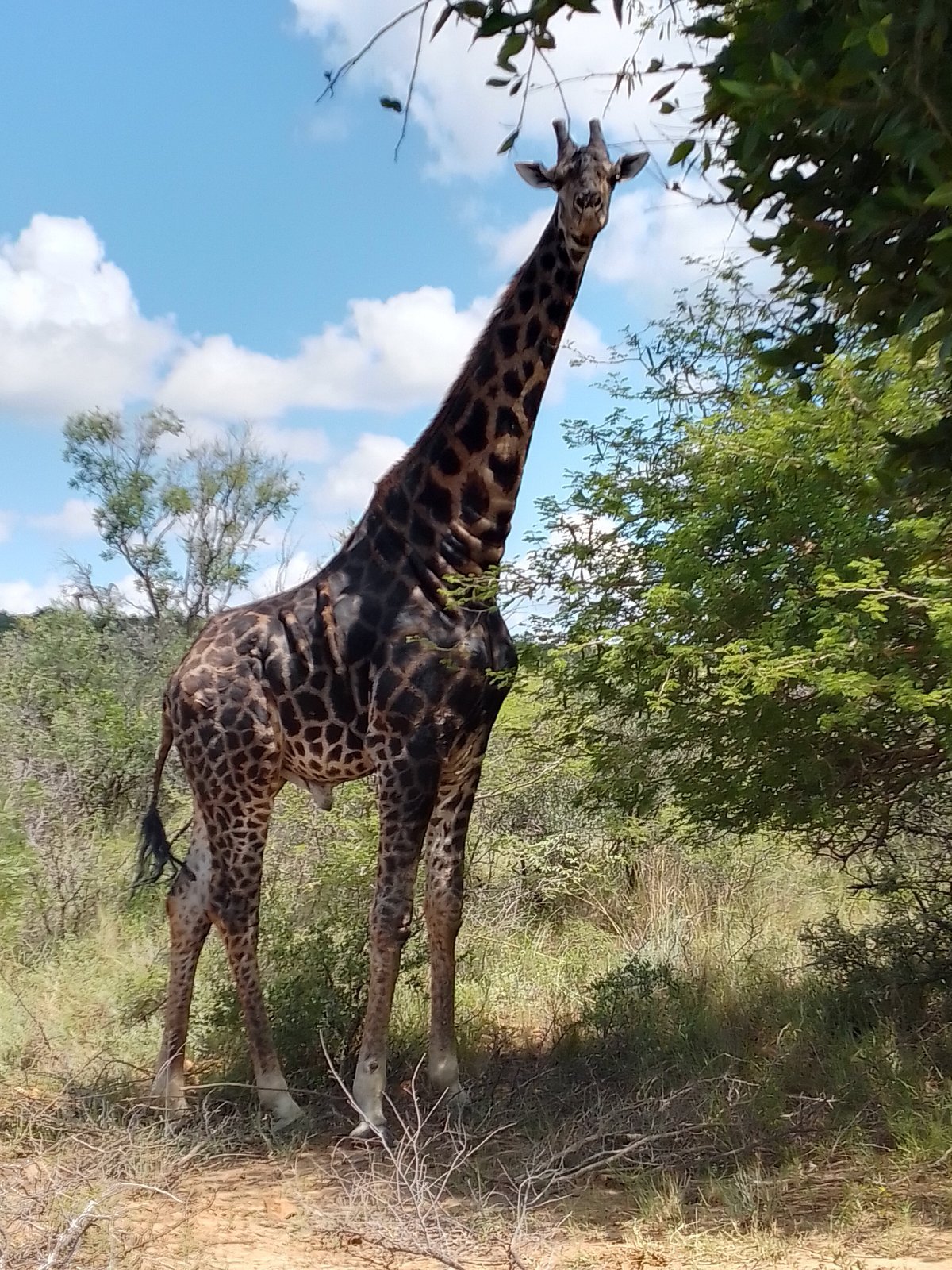 Mokolodi Nature Reserve in Gaborone