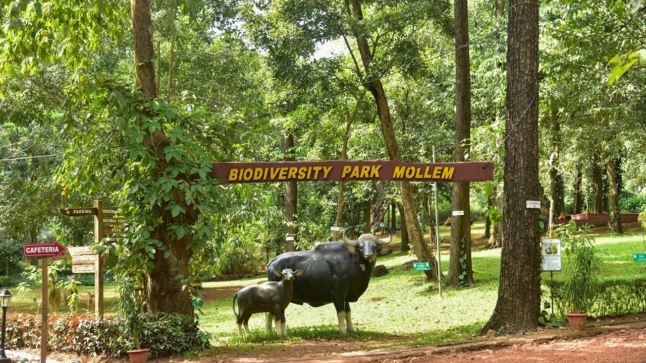 Mollem National Park in Goa