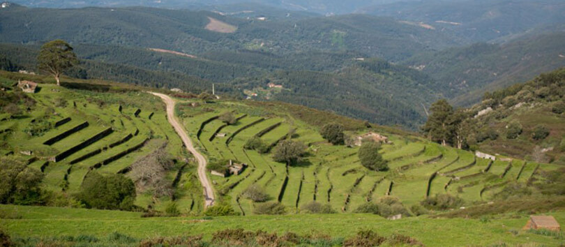 Monchique Mountains