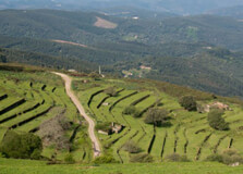 Monchique Mountains in Algarve