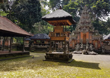 Monkey Forest Sanctuary in Bali