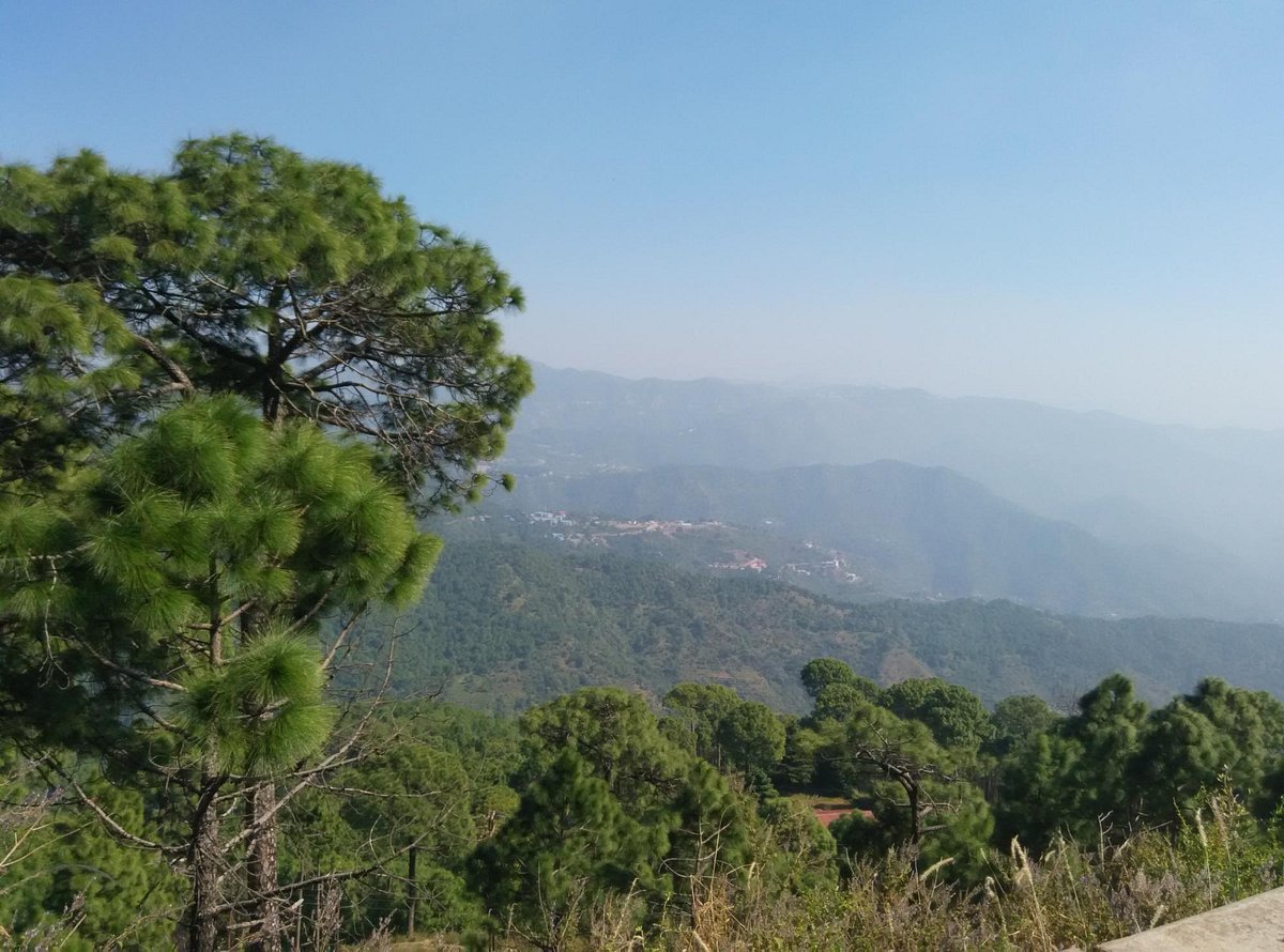 Monkey Point in Kasauli