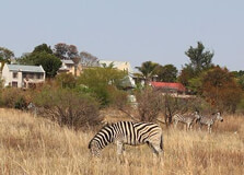 Moreleta Kloof Nature Reserve in Pretoria