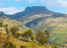 Mount Elgon National Park in Kitale