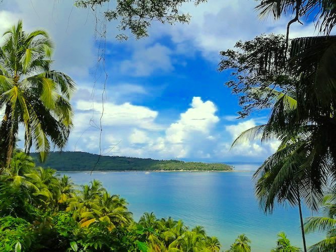Mount Harriet National Park in Andaman