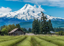 Mount Hood in Oregon
