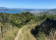Mount Kaukau in Wellington
