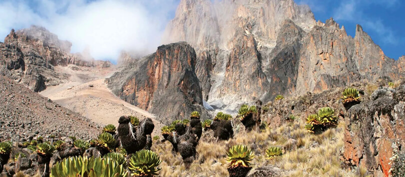 Mount Kenya National Park