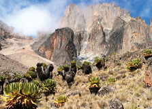 Mount Kenya National Park in Nairobi