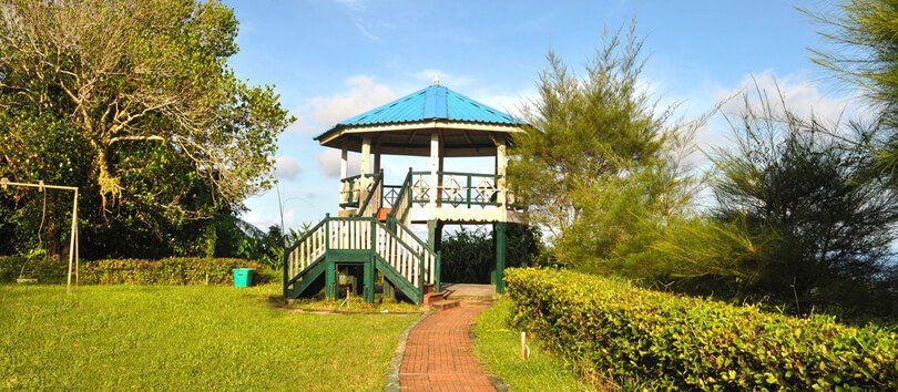 Mount Manipur National Park in Andaman