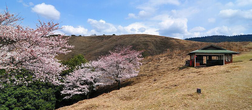Mount Wakakusa