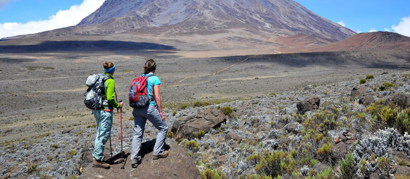 Mountain Climbing