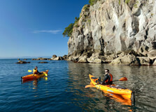 Moutohorā in Bay Of Plenty