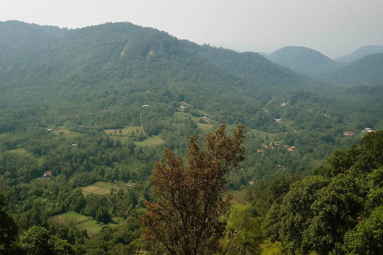 Murikkady in Idukki