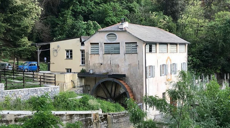 Museo della Carta in Arezzo