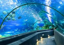Museum of Oceanography in Nha Trang