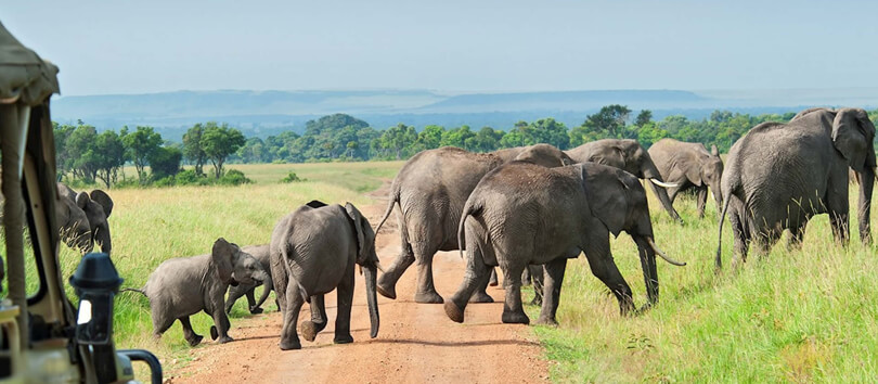 Mwaluganje Elephant Sanctuary