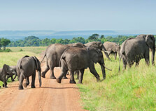 Mwea National Reserve in Nyeri