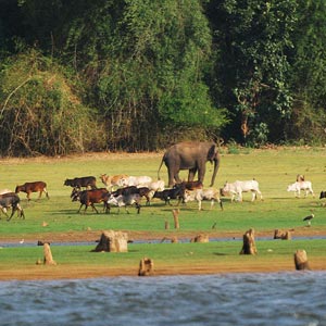 Nagarhole National Park