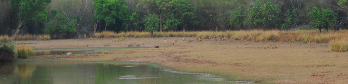 Nagarjunasagar Wildlife Sanctuary