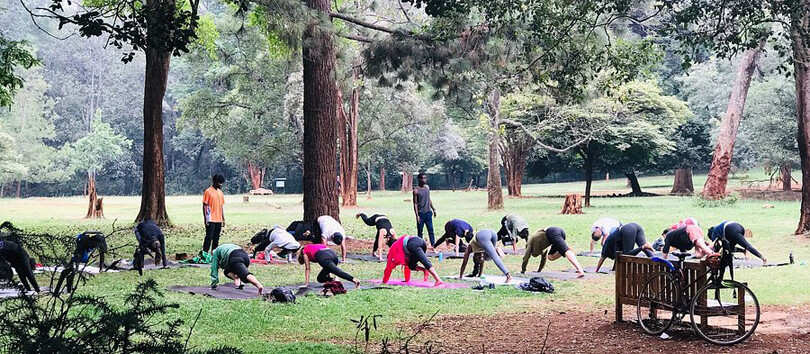 Nairobi Arboretum