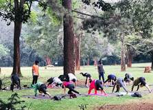 Nairobi Arboretum in Nairobi