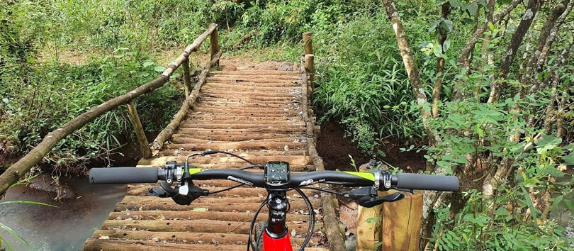 Nairobi Road Forest Sanctuary