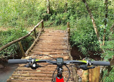 Nairobi Road Forest Sanctuary in Nairobi