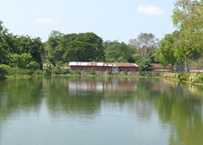 Nalbari in Barpeta