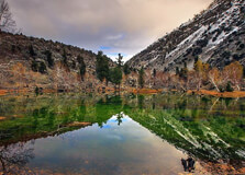 Naltar Valley in Gilgit