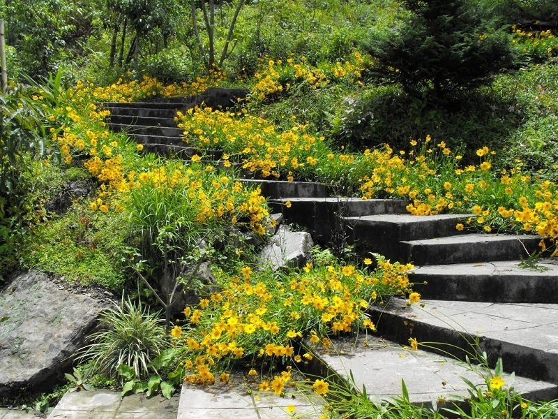 Namchi Rock Garden
