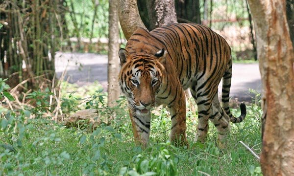 Nameri National Park