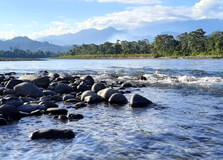 Nameri National Park in Sonitpur