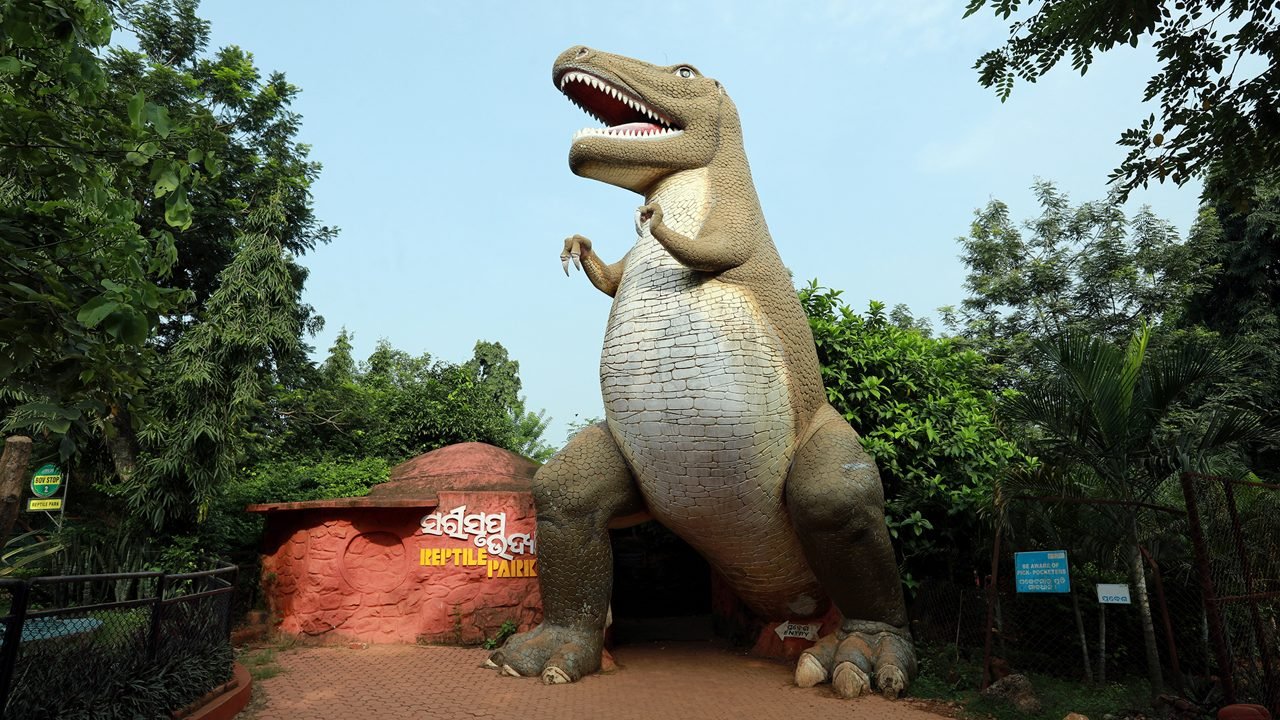 Nandankanan Zoological Park in Bhubaneswar