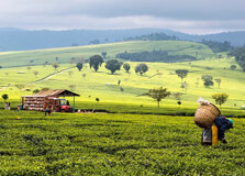 Nandi Hills in Eldoret