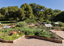 National Botanical Gardens in Bloemfontein