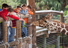 National Zoological Gardens of South Africa in Pretoria