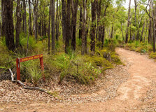 Neerabup National Park in Perth