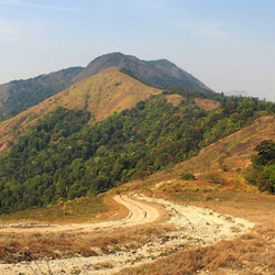 Nelliyampathy Hills in Palakkad