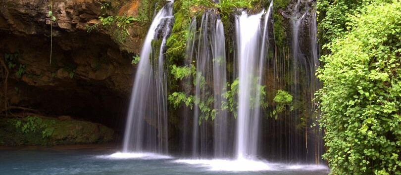 Ngare Ndare Forest