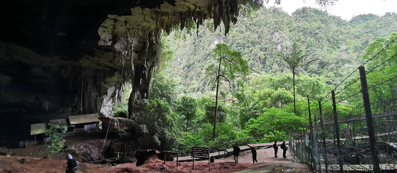 Niah National Park