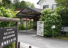 Nikko Botanical Garden in Nikko