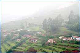 Nilgiri Hills,Tour to Ooty,Tamil Nadu Hill Station